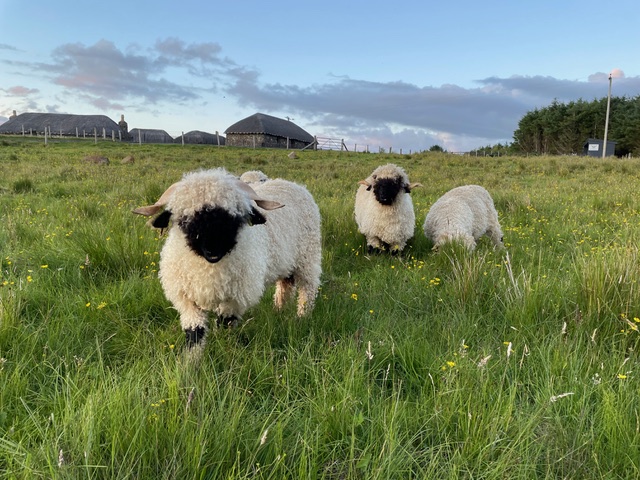 Exterior of restored building at Skye Museum